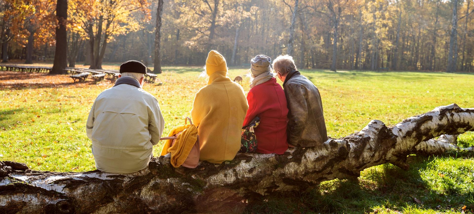 Outdoor Recreation