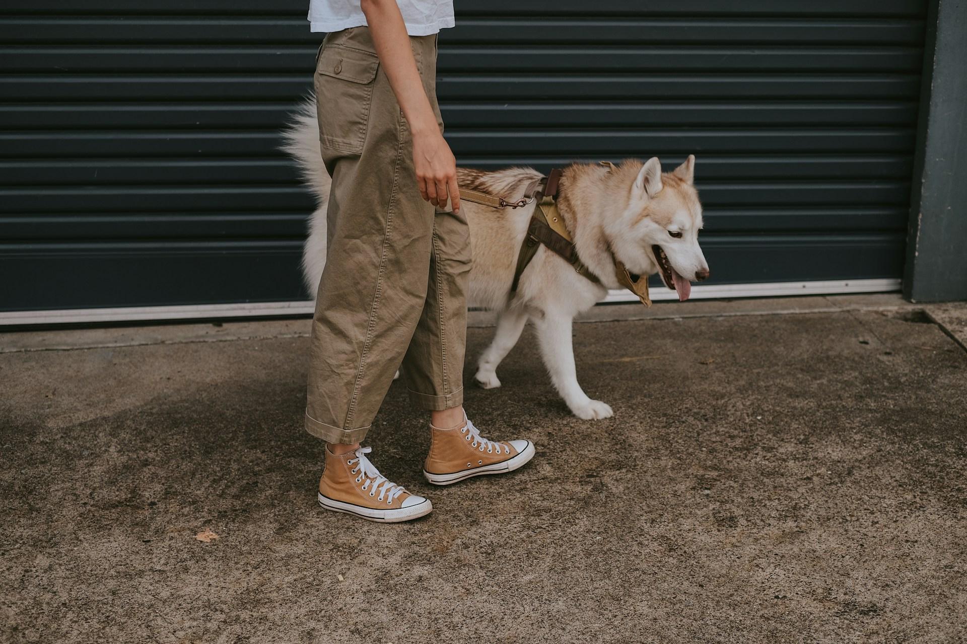 Casual Pants