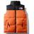Orange vest